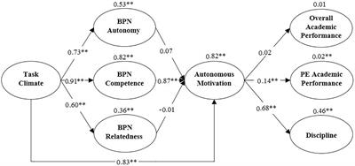 Motivation, Discipline, and Academic Performance in Physical Education: A Holistic Approach From Achievement Goal and Self-Determination Theories